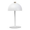 Stainless steel table lamp