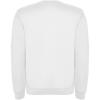 Clasica kids crewneck sweater