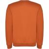 Clasica kids crewneck sweater