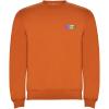 Clasica kids crewneck sweater