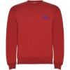 Clasica kids crewneck sweater