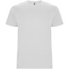 Stafford short sleeve kids t-shirt