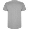 Stafford short sleeve kids t-shirt