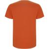 Stafford short sleeve kids t-shirt