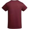 Breda organic cotton short sleeve kids t-shirt