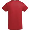 Breda organic cotton short sleeve kids t-shirt