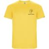 Imola short sleeve men's sports t-shirt