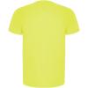 Imola short sleeve men's sports t-shirt
