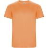 Imola short sleeve men's sports t-shirt