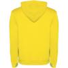 Urban men's hoodie