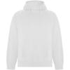 Vinson organic cotton unisex hoodie