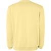 Jaya unisex crewneck sweater