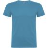 Beagle short sleeve men's t-shirt