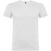 Beagle short sleeve men's t-shirt