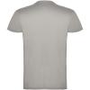 Beagle short sleeve men's t-shirt