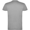 Beagle short sleeve men's t-shirt