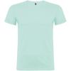 Beagle short sleeve men's t-shirt