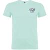 Beagle short sleeve men's t-shirt