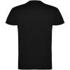 Beagle short sleeve men's t-shirt