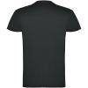 Beagle short sleeve men's t-shirt