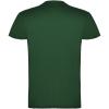Beagle short sleeve men's t-shirt