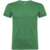 Beagle short sleeve men's t-shirt