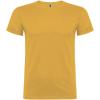 Beagle short sleeve men's t-shirt