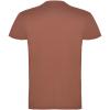 Beagle short sleeve men's t-shirt