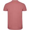 Star short sleeve men's polo