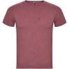 Fox short sleeve men's t-shirt
