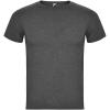 Fox short sleeve men's t-shirt