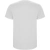 Stafford short sleeve men's t-shirt