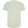 Stafford short sleeve men's t-shirt