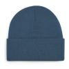 Original Cuffed Beanie