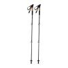 DENALI walking sticks