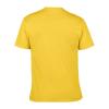 SOFTSTYLE® ADULT T-SHIRT
