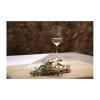 MORETON White wine glasses 2