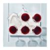WANAKA Red wine glasses 6 pcs