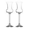 HAMEDAM Set of two glasses for grappa