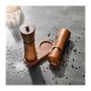 SABARI salt and pepper mill set