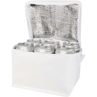 Spectrum 6-can recycled non-woven cooler bag 4L