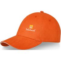 Darton 6 panel sandwich cap