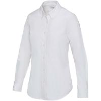 Sphene oxford women's shirt