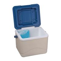 CrisMa cooler box with ice pack