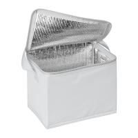 Polyester cooler bag