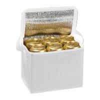 Polyester cooler bag