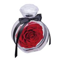 Preserved rose