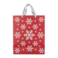 Big Christmas paper bag