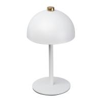 Stainless steel table lamp