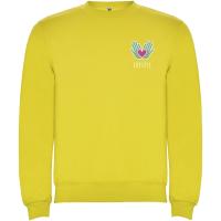 Clasica unisex crewneck sweater